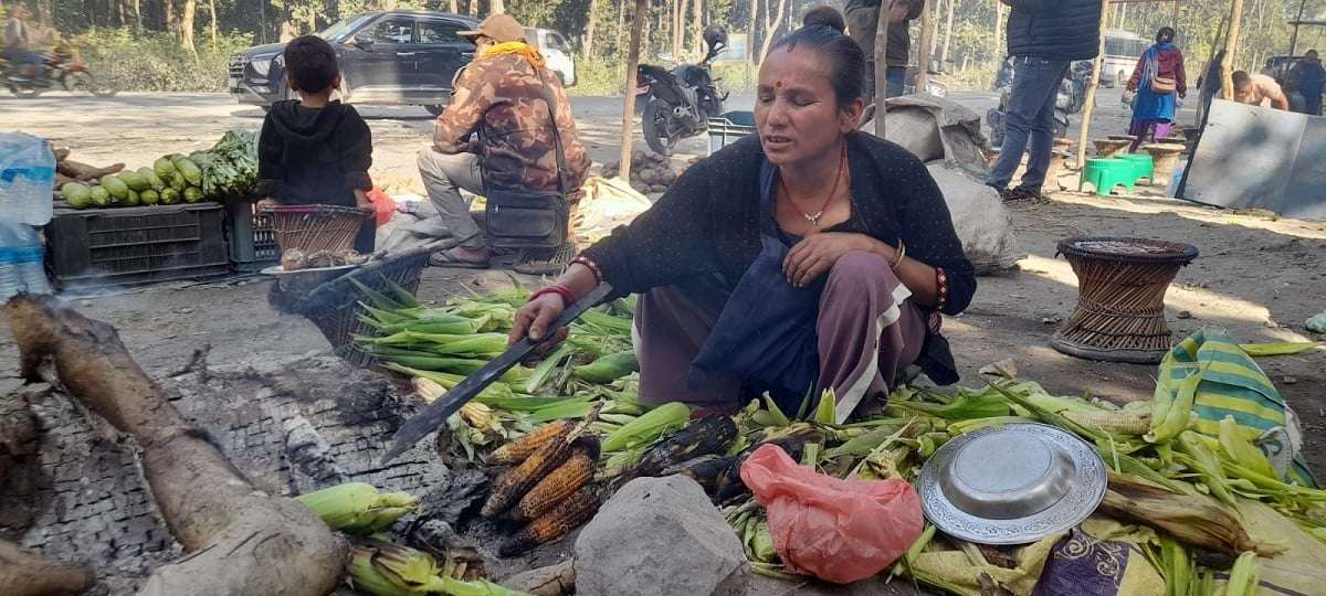 पाँच वर्षदेखि पूर्व पश्चिम राजमार्ग छेउमा मकै पोलेरै जिविका चलाउँदै