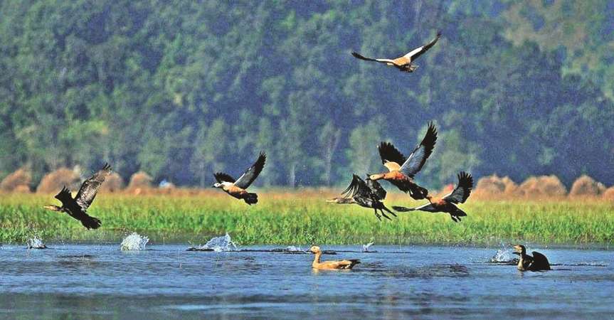 आज विश्व सिमसार दिवस विभिन्न कार्यक्रम गरी मनाईंदै